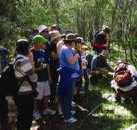 Warrumbungle National Park Discovery Program - Accommodation Cooktown