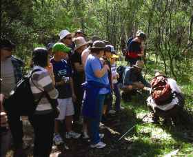 Warrumbungle National Park Discovery Program - Accommodation Cooktown 0