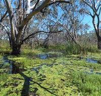 Macquarie Valley Trails - Accommodation Cooktown