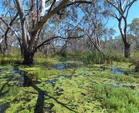 Macquarie Valley Trails - Accommodation Cooktown 0