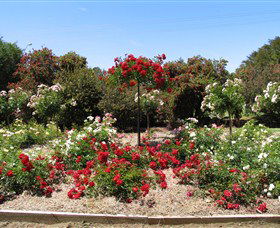 Barooga Botanical Gardens - Accommodation Cooktown 2