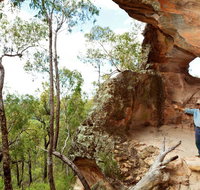 Pilliga National Park - Accommodation Cooktown