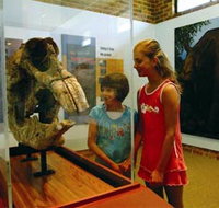 Australian Museum Diprotodon Exhibition - Accommodation Cooktown