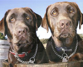 Ellender Estate - Accommodation Cooktown 7