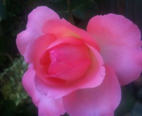 Abandon Stress Mobile Massage - Accommodation Cooktown 2