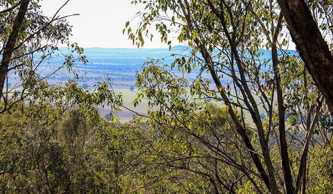 Eualdrie Walking Track - Accommodation Cooktown 2