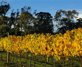 Paramoor Winery - Accommodation Cooktown 3
