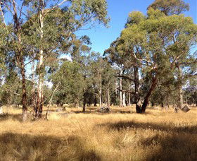 Paramoor Winery - Accommodation Cooktown 4