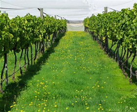 Paramoor Winery - Accommodation Cooktown 6