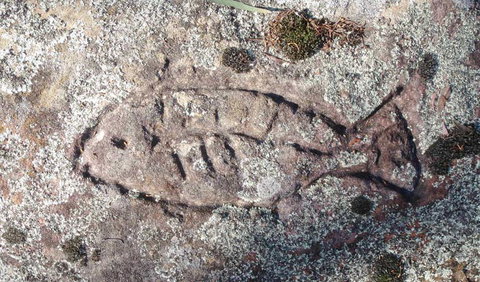 Terry Hie Hie Aboriginal Area - Accommodation Cooktown 3