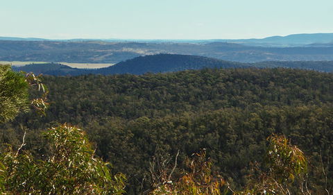 Conimbla National Park - Accommodation Cooktown 1