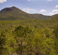 Kutini-Payamu Iron Range National Park CYPAL - Accommodation Cooktown