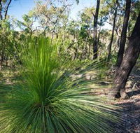 Brisbane Ranges National Park - Accommodation Cooktown