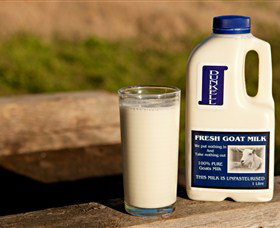 Dunkell Goats - Accommodation Cooktown 2