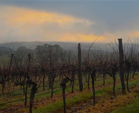 Bloodwood Estate - Accommodation Cooktown 1