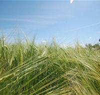 150 Degrees East Meridian