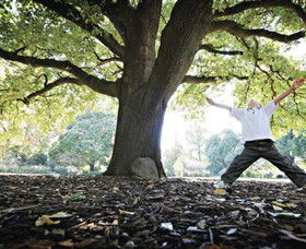 Albury Botanic Gardens - Accommodation Cooktown 1