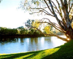 Albury - Murray River Precinct - Accommodation Cooktown 0