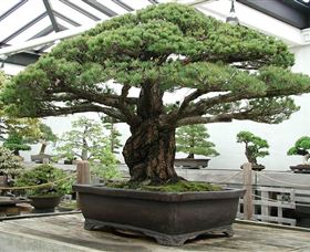 Peards Complex Albury - Accommodation Cooktown 0