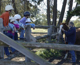 Harlow Park Horse Riding - Accommodation Cooktown 0