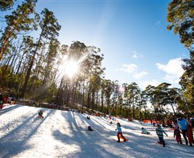 Corin Forest Mountain Resort - Accommodation Cooktown 1