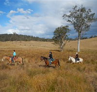 Chapman Valley Horse Riding - Accommodation Cooktown