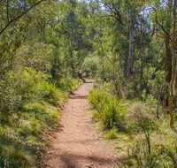Mares Forest Creek walking track - Accommodation Cooktown