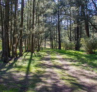 Wombeyan Waterfall walking track - Accommodation Cooktown