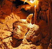 Fig Tree Cave - Accommodation Cooktown