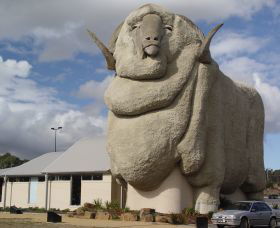 Big Merino - Accommodation Cooktown 0