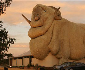 Big Merino - Accommodation Cooktown 3