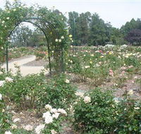 Victoria Park Rose Garden - Accommodation Cooktown