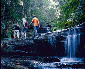 South Lawson Waterfall Circuit - Accommodation Cooktown 0
