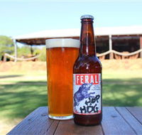 Feral Brewing Company - Accommodation Cooktown