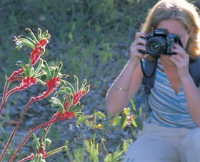 Kalamunda National Park - Accommodation Cooktown 1