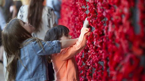 Australian War Memorial - Accommodation Cooktown 5