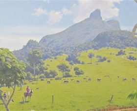 Aitkens Australia In The Round - Accommodation Cooktown 2