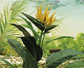 Aitkens Australia In The Round - Accommodation Cooktown 0