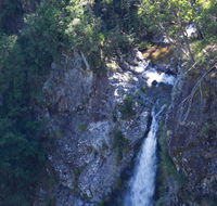 Lyrebird Falls walking track - Accommodation Cooktown