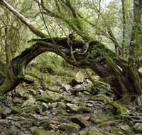 Mitchell River National Park - Accommodation Cooktown