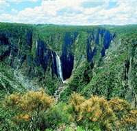Wollomombi Falls - Accommodation Cooktown