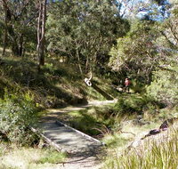 Wollomombi walking track - Accommodation Cooktown
