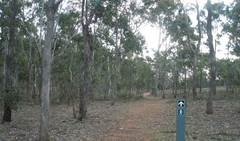  Accommodation Cooktown