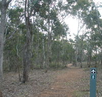 Green track - Accommodation Cooktown