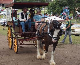 The Australiana Pioneer Village - Accommodation Cooktown 5