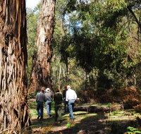 Tallaganda National Park - Accommodation Cooktown