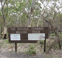 Box Vale Picnic Area - Accommodation Cooktown