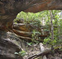 Cave Creek Walking Track - Accommodation Cooktown