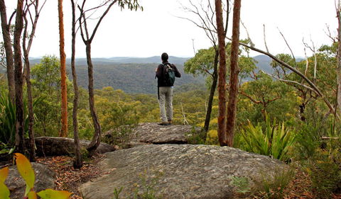 Mount Olive Lookout - Accommodation Cooktown 1