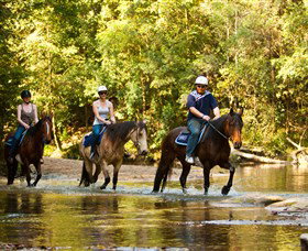 Glenworth Valley Outdoor Adventures - Accommodation Cooktown 2
